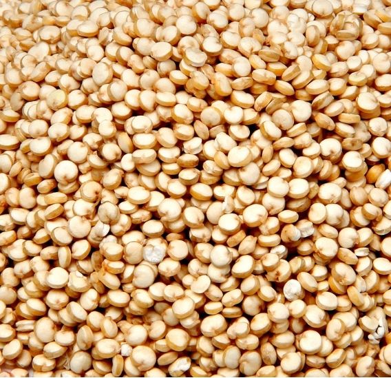 Les bienfaits du quinoa !